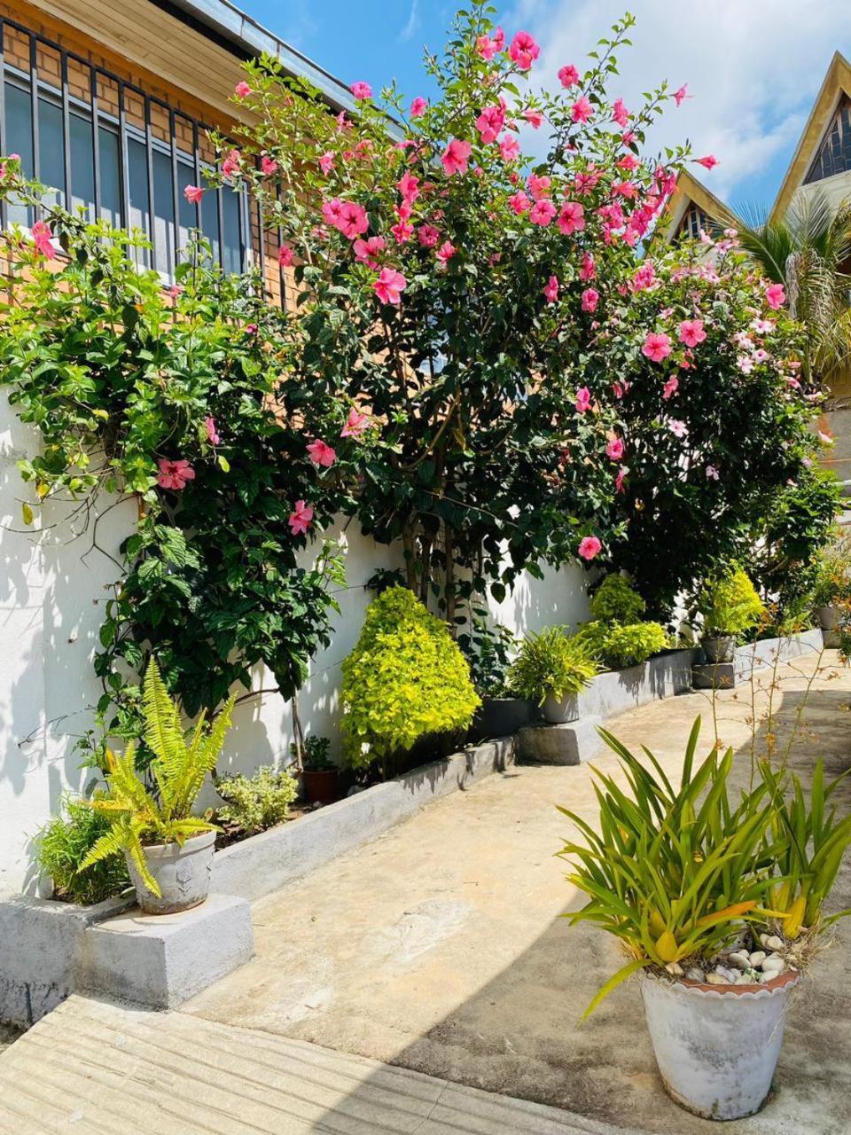 Chez Jeanne Chambre D'Hote Antananarivo Exterior foto